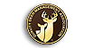 QDMA QDMA