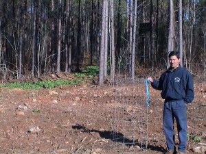 Dry food plot in a utility cage