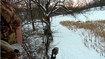Grant in stand with bow Grant in stand with bow