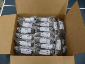 Box of soil samples packed in clear bags