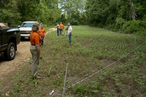 Installing a Gallagher fence at The Proving Grounds