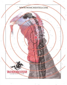 Image of tom turkey head and neck used by Winchester as a target