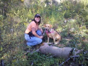 Tracy Woods with Labrador Retriever Used to Blood Trail the Whitetail Doe