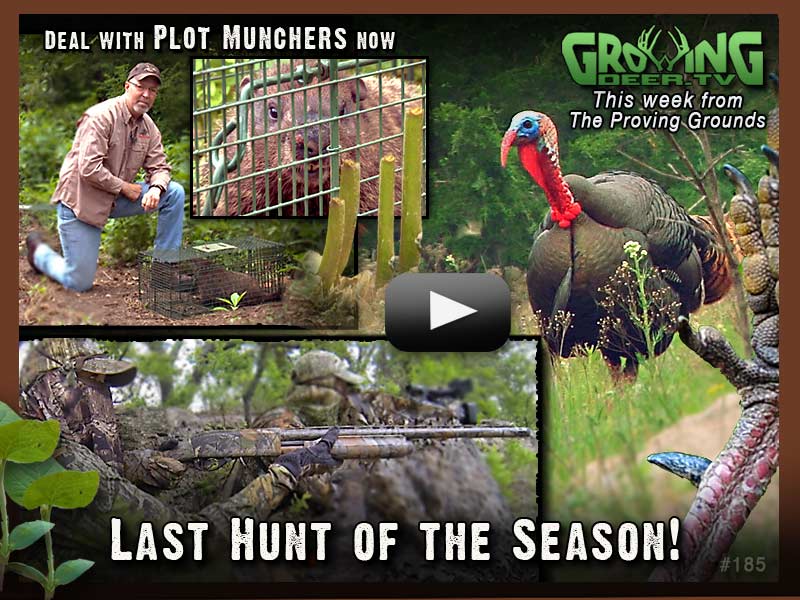 Watch growingdeer.tv episode 185 for the last turkey hunt of the season.