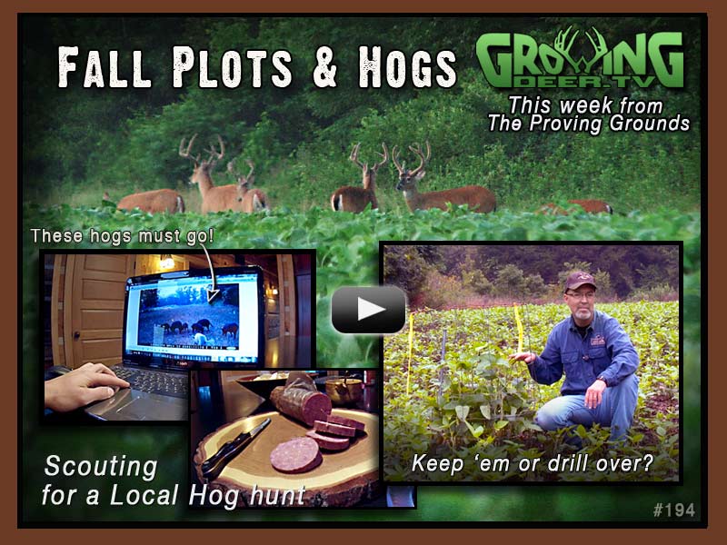 collage of  photos deer in field, Dr. Grant Woods in food plot, computer screen with wild hogs, and summer sausage on a tray