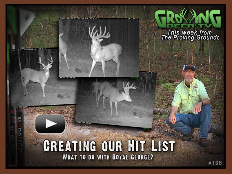 Trail Camera Photos of bucks with big antlers