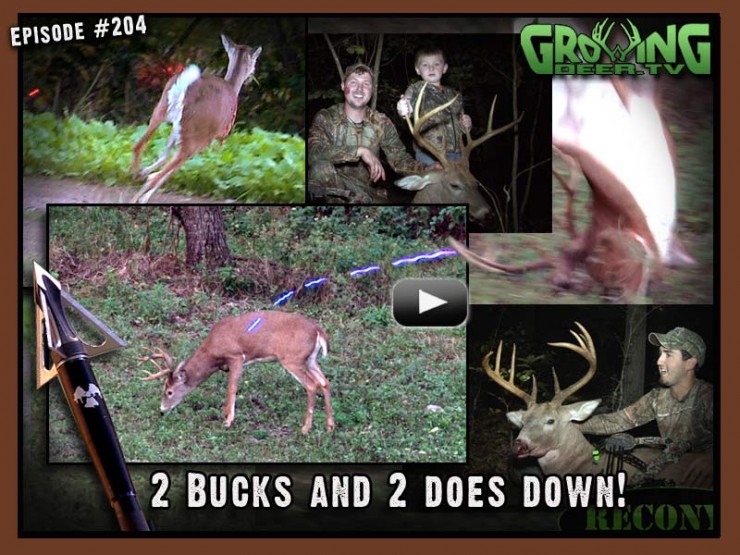 Two bucks and two does go down in GrowingDeer.tv episode #204.