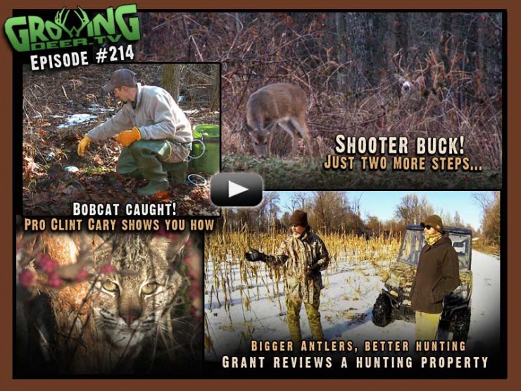 Watch GrowingDeer.tv episode #214 to see Grant's recent hunt when one of the hit list bucks comes in close.
