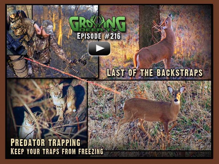 More great deer hunts and trapping tips in GrowingDeer.tv episode #216.