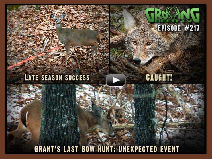 Watch GrowingDeer.tv episode #217 to see a late season bow hunt and predator trapping.