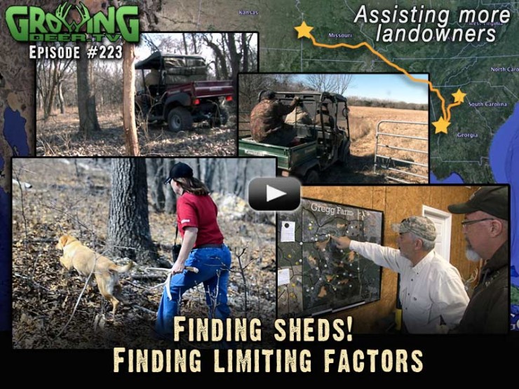 We search for shed antlers in GrowingDeer.tv episode #223.