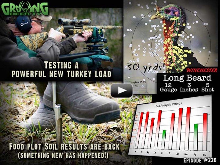 In episode #226 on GrowingDeer.tv advice to improve deer hunting and habitat as well as testing a new turkey load from Winchester.