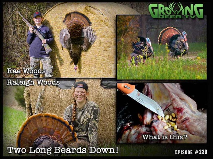 Watch GrowingDeer.tv episode 230 two see Raleigh and Rae Woods double down on a pair of long beards.