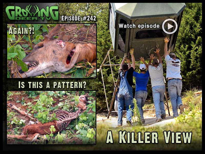 Check out the killer view from our new Redneck Blind in GrowingDeer.tv episode #242.
