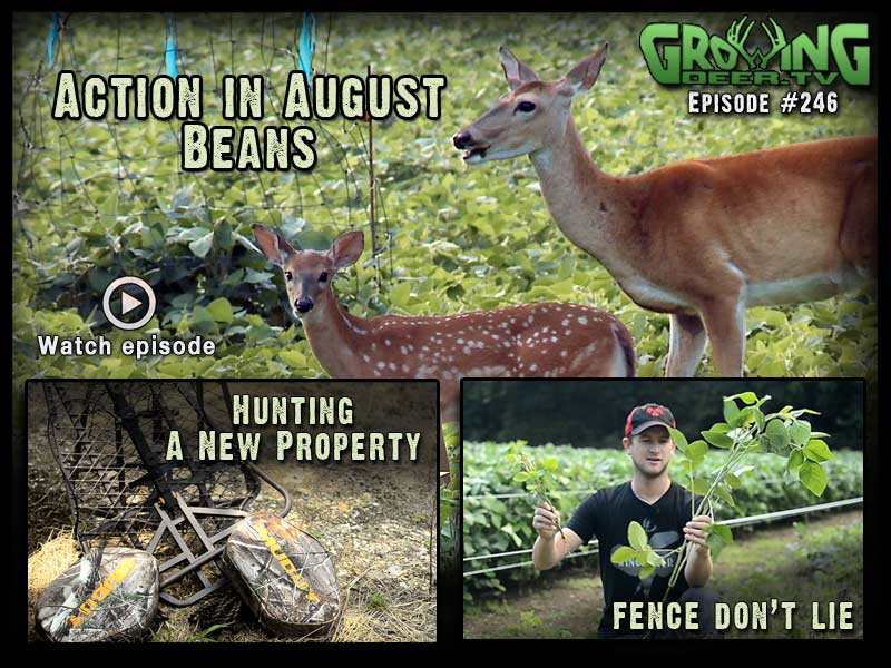Tips for hunting a new property in GrowingDeer.tv episode #246