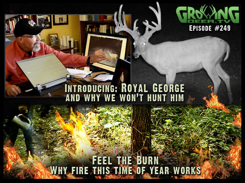 Introducing a hit list buck, Royal George, in GrowingDeer.tv episode #249.