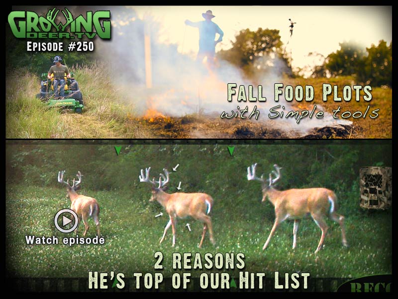Butterbean is added to the 2014 Hit List in GrowingDeer.tv episode #250.