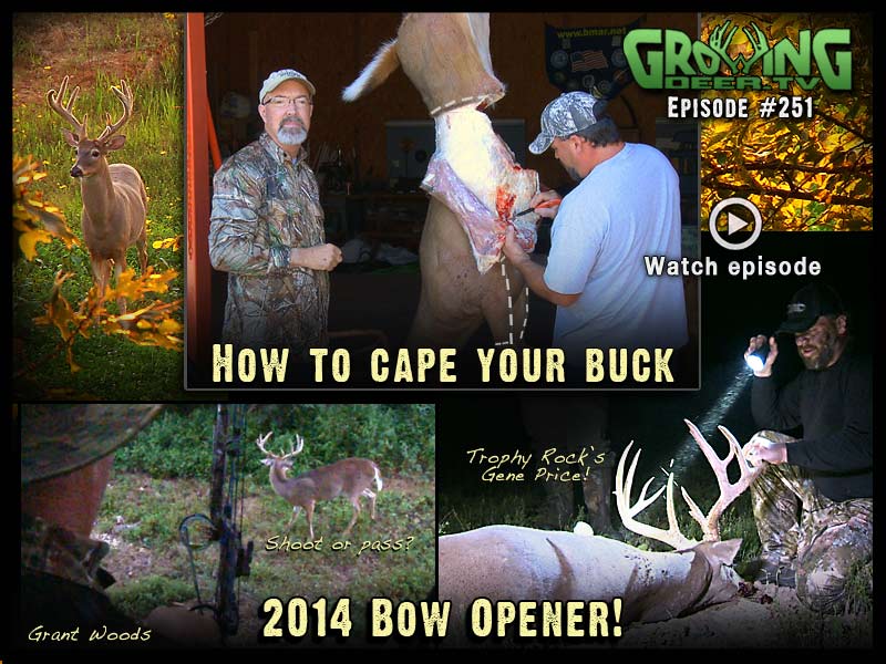Watch the first bow hunt of 2014 in GrowingDeer.tv episode #251.