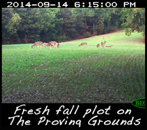 fresh fall plot on The Proving Grounds