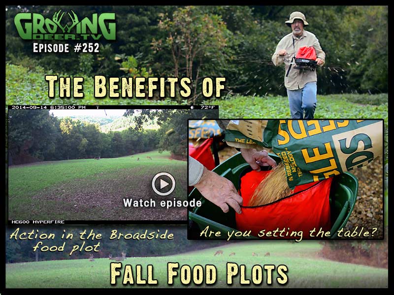The benefits of bow season planting in GrowingDeer.tv episode #252.