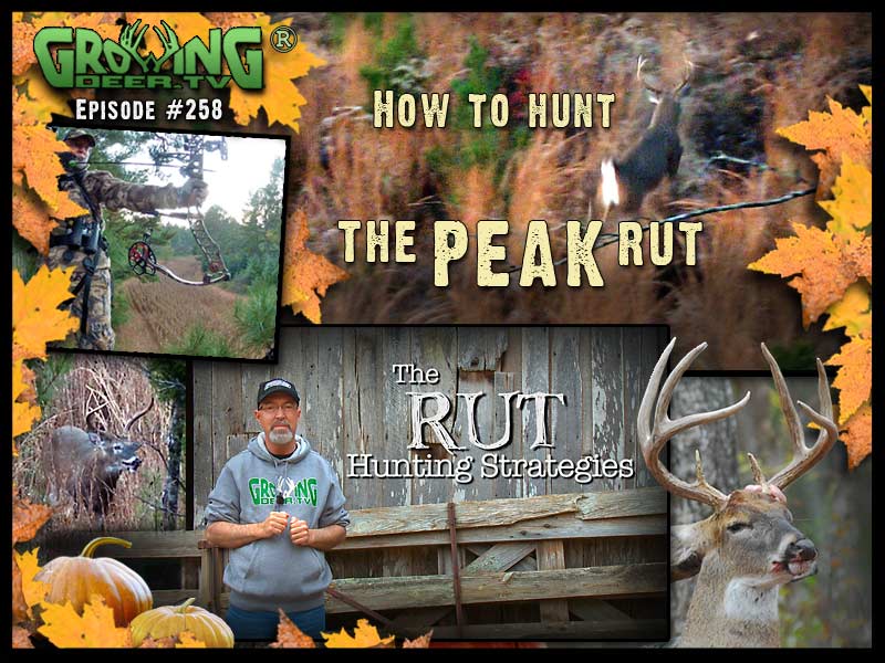 Grant shares rut hunting strategies in GrowingDeer.tv episode #258.