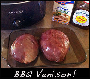 Crock-Pot BBQ venison is a Woods family favorite.