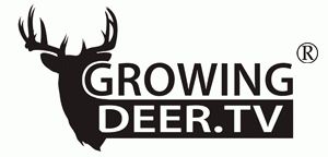 Opener-Logo