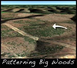 Look for ridges when trying to pattern deer in big woods.
