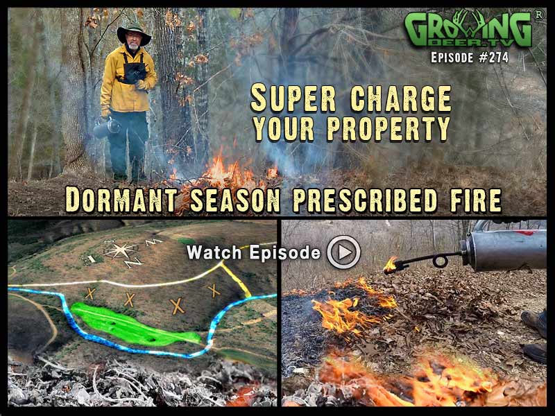 From start to finish on a dormant season prescribed fire in GrowingDeer.tv episode #274.