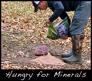 We supply minerals to our deer herd.