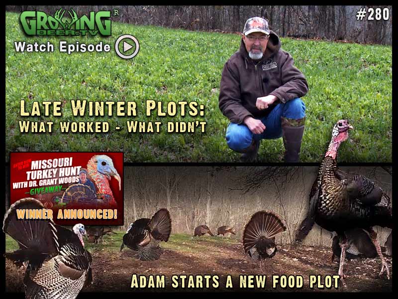 In GrowingDeer.tv episode #280 we figure out what worked and what didn’t in Grant’s food plots.