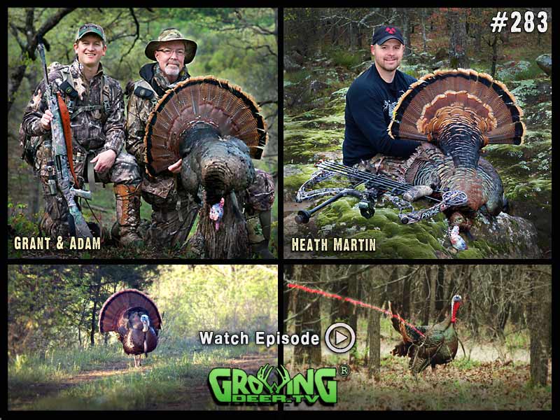 Two gobblers down in GrowingDeer.tv episode #283.