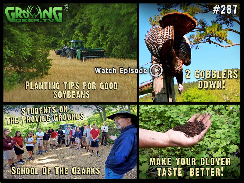 Spring food plot tips in GrowingDeer.tv episode #287.