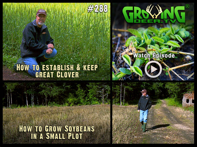 Learn how to manage your food plots in GrowingDeer.tv episode #288.