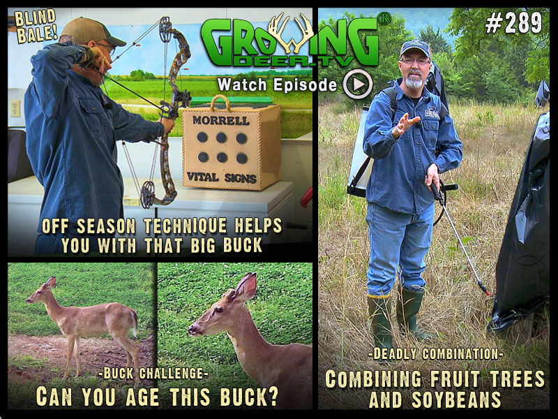 Learn advanced hunting techniques in GrowingDeer.tv episode #289.