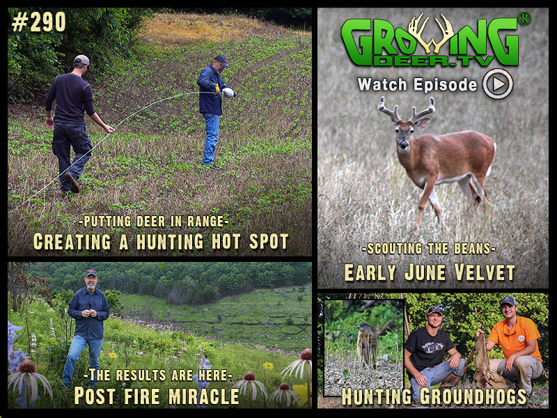 Watch GrowingDeer.tv episode #290 to see how we prepare for hunting season.