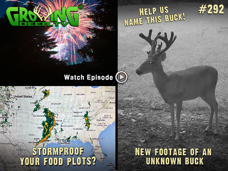 Learn how to stromproof your food plots in GrowingDeer.tv episode #292.