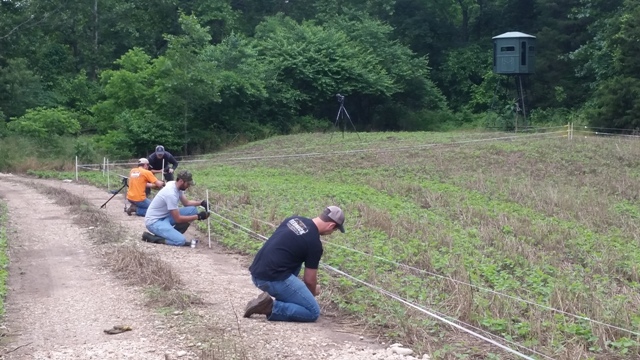 Installing an electric fence to protect a food plot