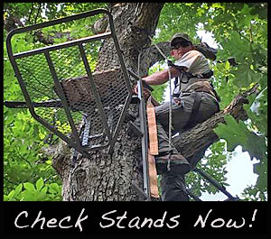Adam climbing onto a tree stand