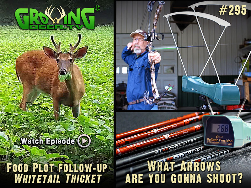 Grant tests arrow speed in GrowingDeer.tv episode #295.