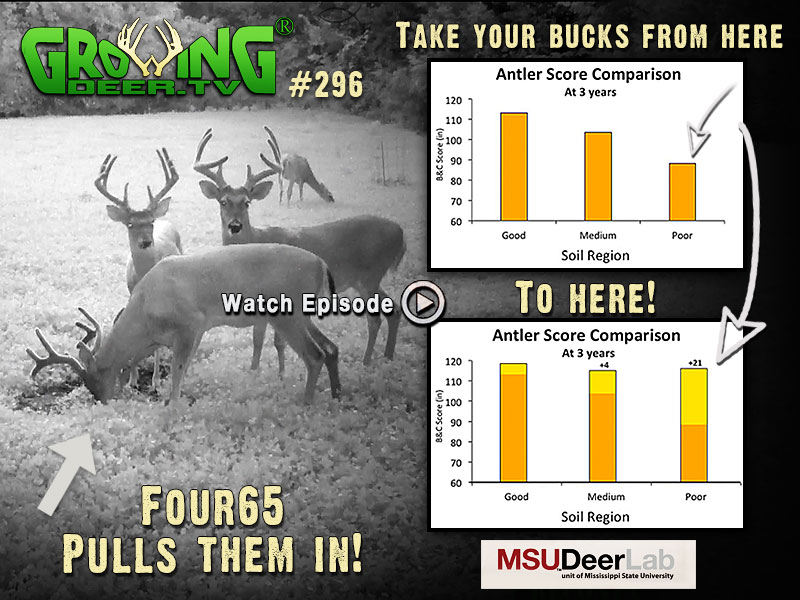 Learn all about antler size in GrowingDeer.tv episode #296.