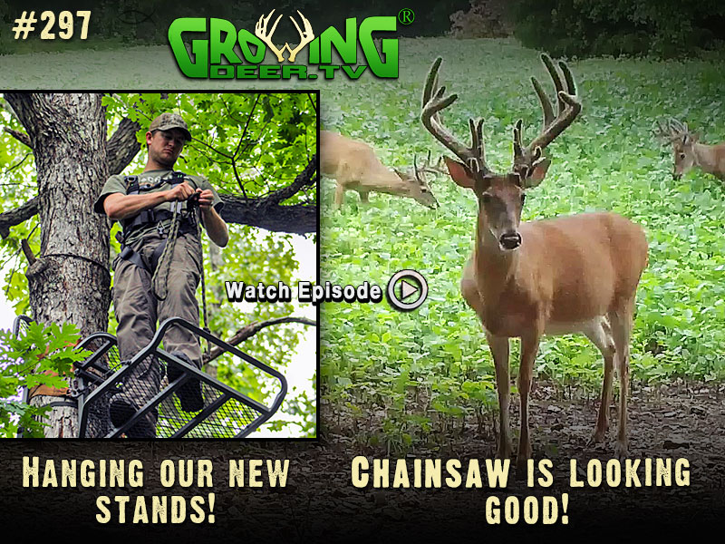 Watch to learn our early season strategy in GrowingDeer.tv episode #297.