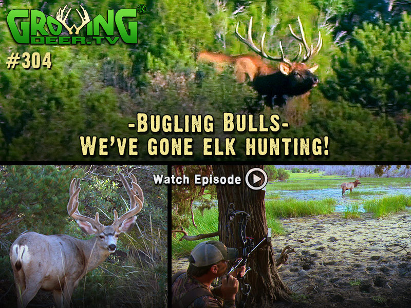 Watch GrowingDeer.tv episode #304 to see our elk hunt!
