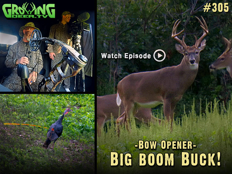 Watch the 2015 bow opener is GrowingDeer.tv episode #305.