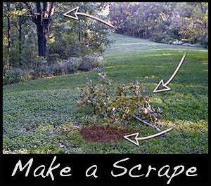 Learn how to set up a mock scrape