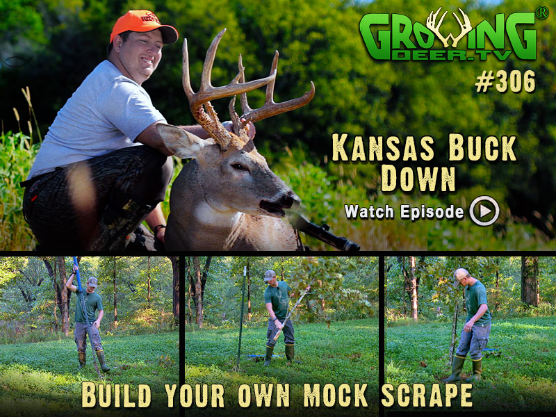 Kansas Buck Down! Build your own mock scrape!