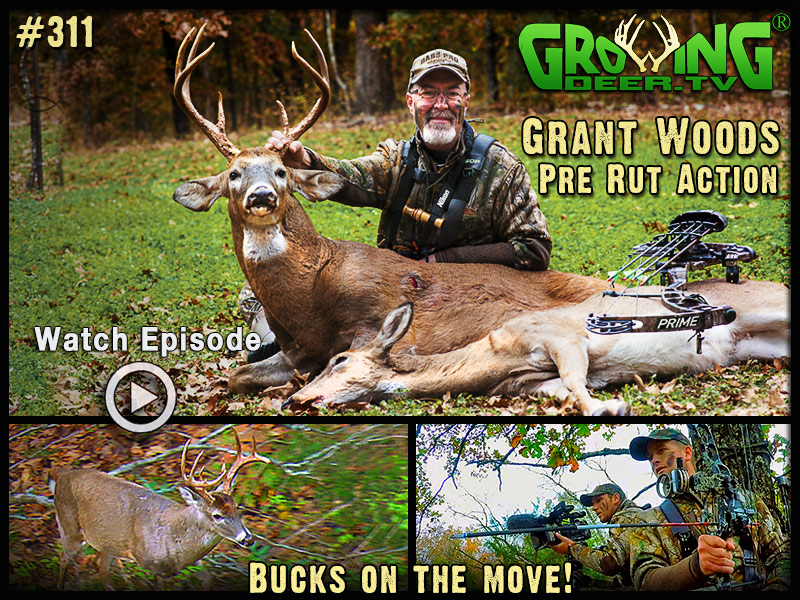 Grant takes advantage of the pre-rut action in GrowingDeer episode #311.