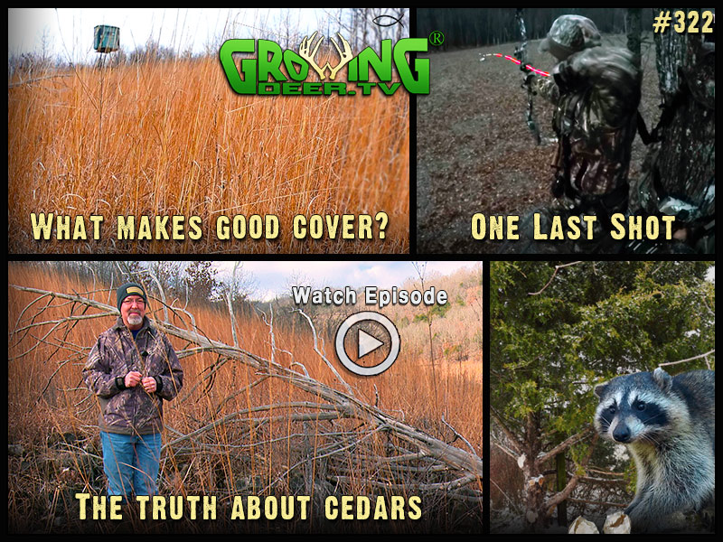 Watch the last bow hunt in GrowingDeer episode 322.