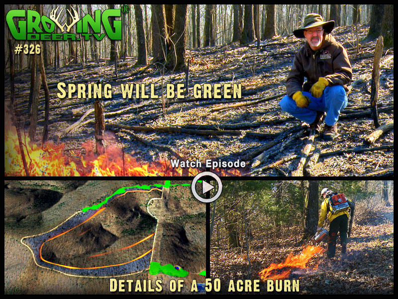 Watch a 50 acre burn how to in GrowingDeer episode #326.