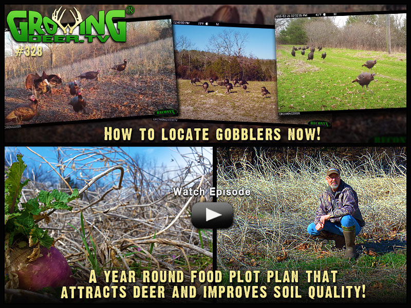 Learn how to locate gobblers in GrowingDeer episode 328.